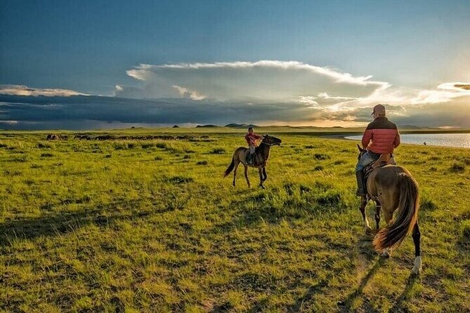 Horse Riding one hour Palmeraie Grove & Transfer - Marrakesh - Riding Through Palm Groves and Berber Villages