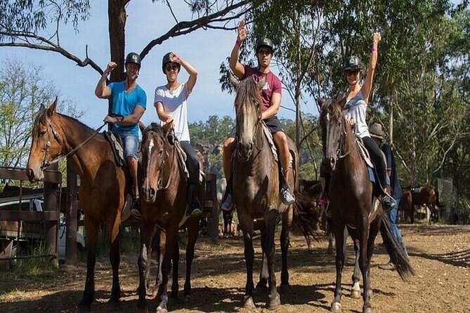 Horse Riding one hour Palmeraie Grove & Transfer - Marrakesh - Atlas Mountain Views from the Oasis