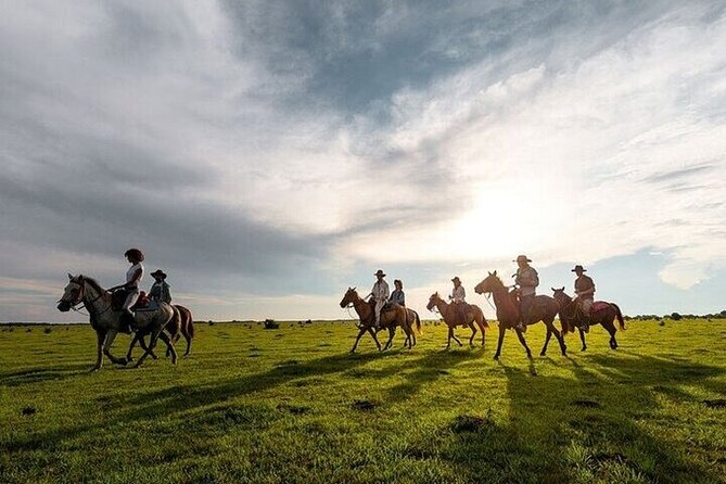 Horse Riding one hour Palmeraie Grove & Transfer - Marrakesh - How the Pace Feels for Different Riders