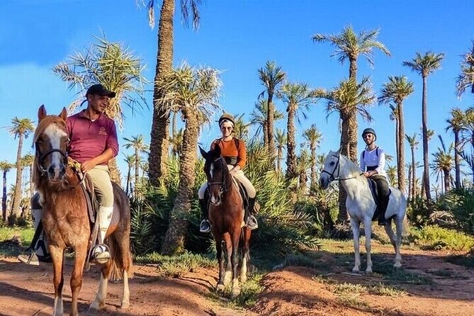 Horse Riding one hour Palmeraie Grove & Transfer - Marrakesh - Price, Extra Fee, and Overall Value