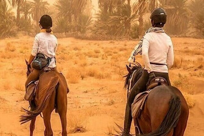 Horse Riding one hour Palmeraie Grove & Transfer - Marrakesh - Mint Tea at the Eco-Lodge