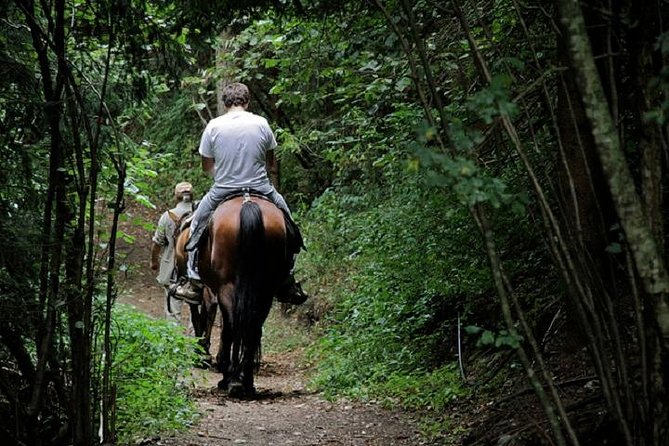 Horse Riding Small Group near Lucca - Is $94.12 a fair price?