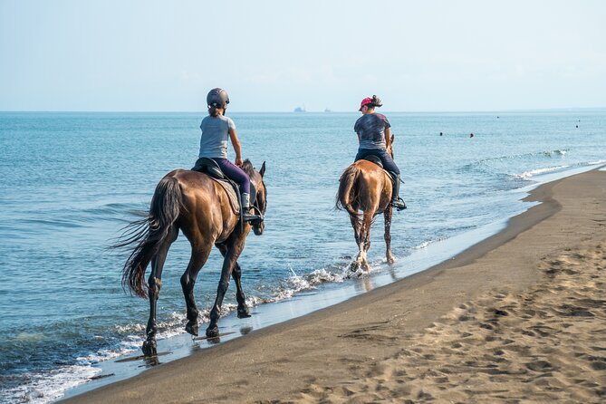 Horse Riding & Swimming Experience in the Sea & Desert - Hurghada - Key points to know before you book