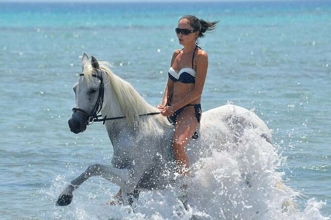 Horse Riding & Swimming Experience in the Sea & Desert - Hurghada - Starting along the Red Sea shore