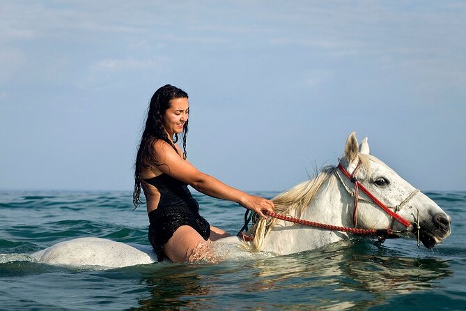 Horse Riding & Swimming Experience in the Sea & Desert - Hurghada - The Red Sea swim with your horse