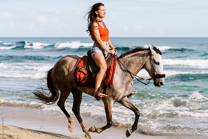 Horse Riding & Swimming Experience in the Sea & Desert - Hurghada - Crossing into Hurghada’s golden desert