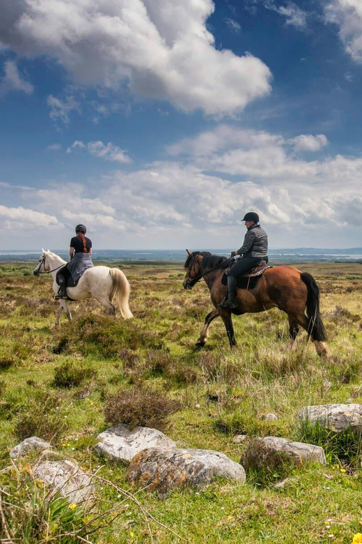 Horse riding the dirt trail. Clare. Guided. 1 hour - Five things to know before you book