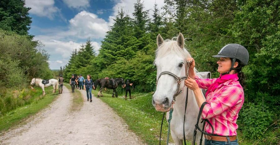 Horse riding the dirt trail. Clare. Guided. 1 hour - Through woodlands and past famine ruins