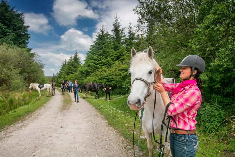 Horse riding the dirt trail. Clare. Guided. 1 hour - Slieve Elva and the open Burren