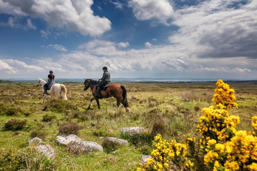 Horse riding the mountain trail. Clare. Guided, 2 hours - Key points at a glance