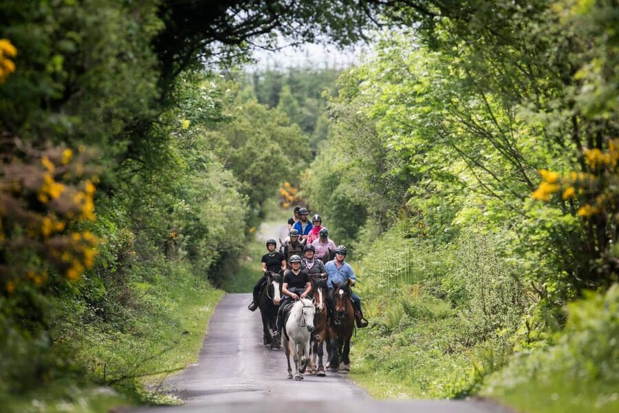 Horse riding the mountain trail. Clare. Guided, 2 hours - Across woodlands and quiet green roads