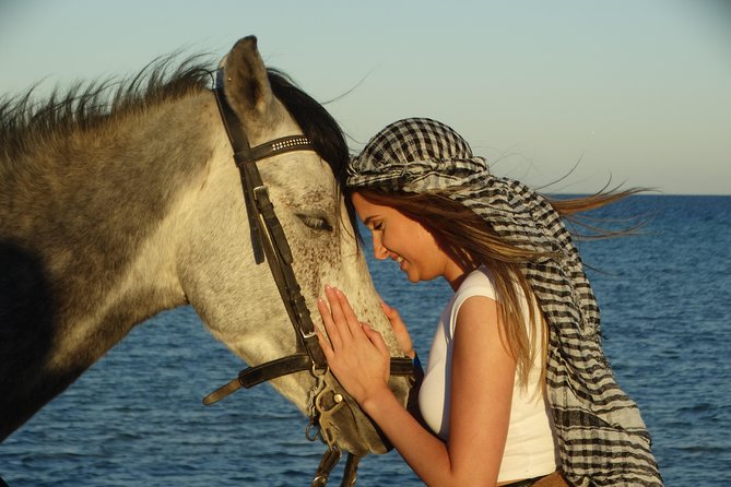 Horse Riding Tour 2 Hours on Sea And Desert & Transfer -Hurghada - The desert section: open views and a basic setup