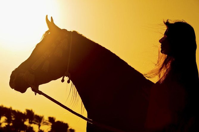 Horse Riding Tour 2 Hours on Sea And Desert & Transfer -Hurghada - Safety, comfort, and family suitability