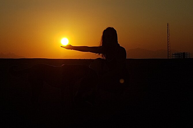 Horse Riding Tour 2 Hours Sea And Desert with Transfer - Hurghada - Key points to know before you book