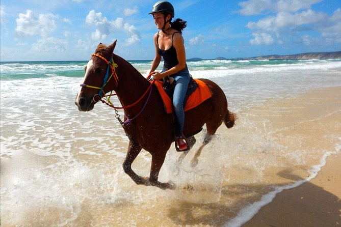 Horse Riding Tour 2 Hours Sea And Desert with Transfer - Hurghada - From your hotel to Hurghada’s riding yard