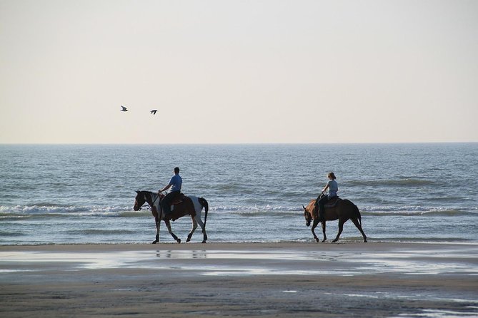 Horse Riding Tour 2 Hours Sea And Desert with Transfer - Hurghada - Riding across Hurghada’s open desert