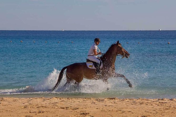 Horse Riding Tour 2 Hours Sea And Desert with Transfer - Hurghada - Entering the Red Sea on horseback