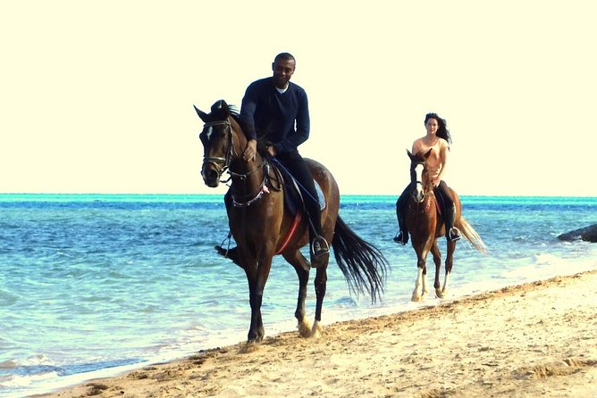 Horse Riding Tour 2 Hours Sea And Desert with Transfer - Hurghada - The guide can shape the whole ride