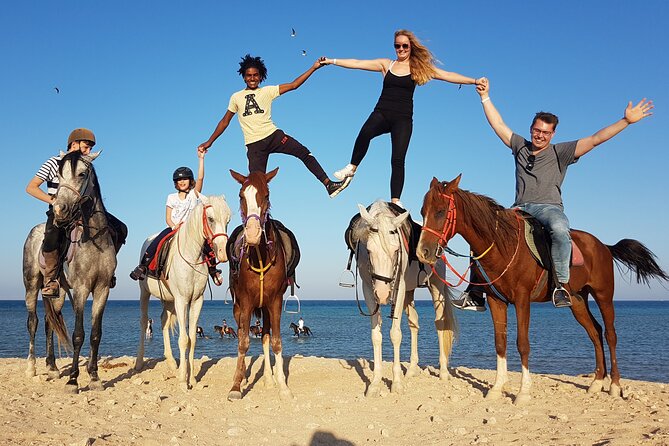 Horse Riding Tour 2 Hours Sea And Desert with Transfer - Hurghada - Who will enjoy this two-hour ride