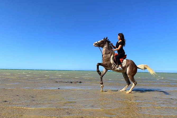 Horse Riding Tour 2 Hours Sea And Desert with Transfer - Hurghada - Getting ready with a helmet and trainer