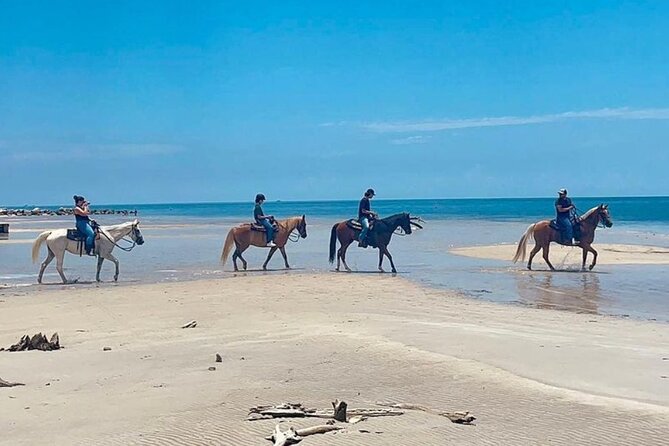 Horse Riding Tour at the Beach in Miami - Riding from Virginia Key’s past into the open air