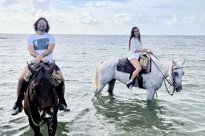 Horse Riding Tour at the Beach in Miami - The wooded section at Historic Virginia Key Beach Park