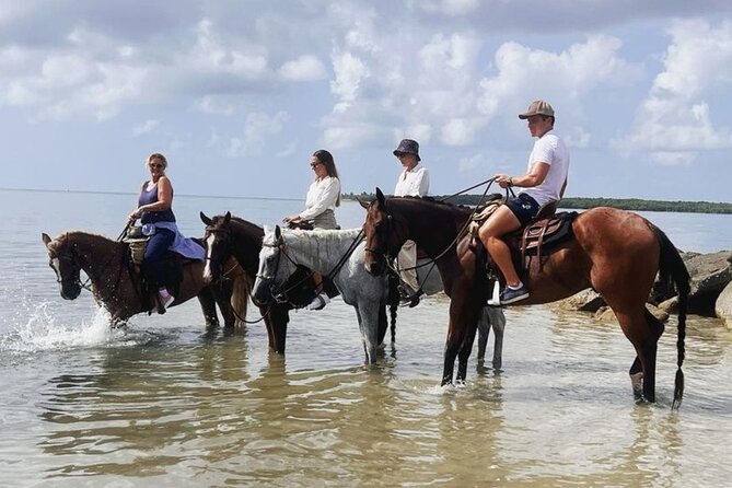 Horse Riding Tour at the Beach in Miami - Horse care is a real part of the experience