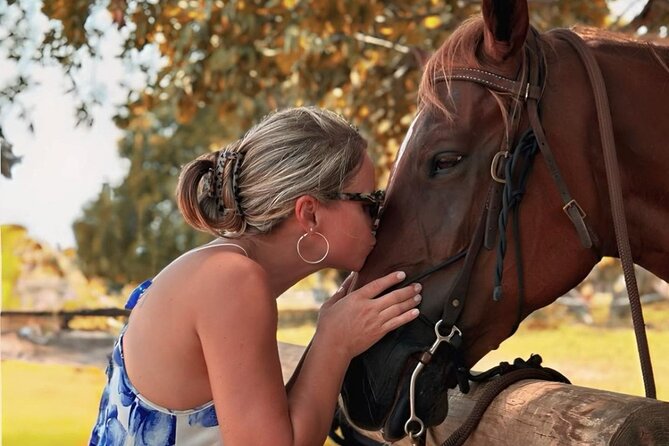 Horse Riding Tour at the Beach in Miami - Is $195 a fair price?