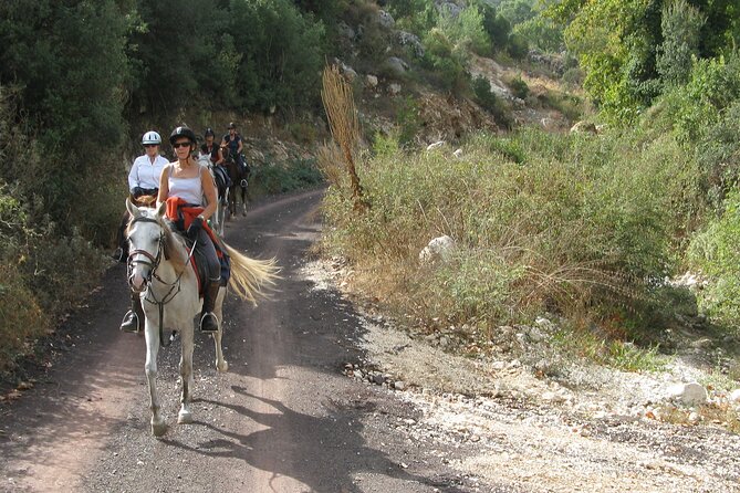 Horse Riding Tour in Bodrum with Hotel Pick Up - Key points at a glance