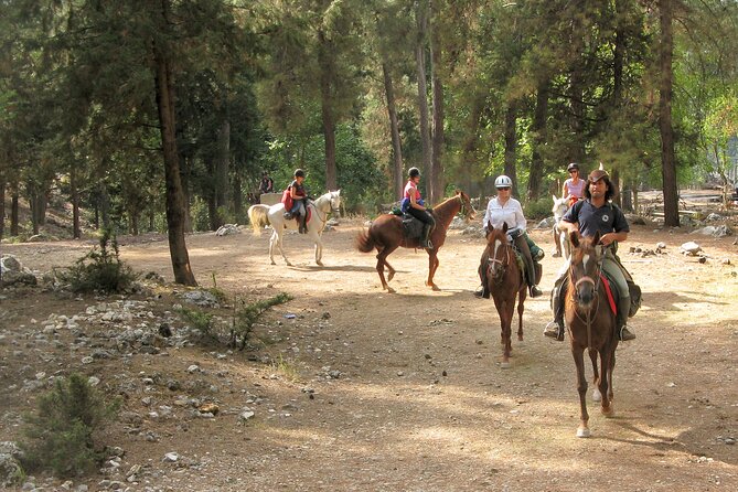 Horse Riding Tour in Bodrum with Hotel Pick Up - Sun, shade, and the practical side of the route