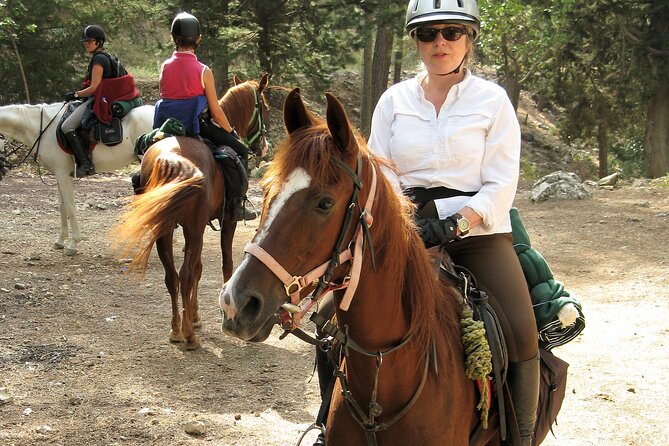 Horse Riding Tour in Bodrum with Hotel Pick Up - What the $75.44 price really covers