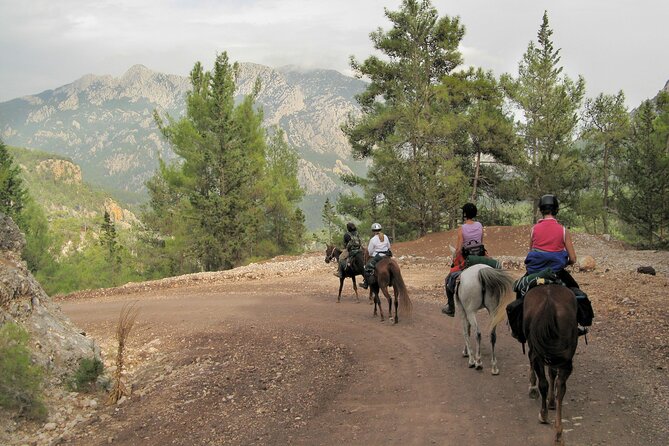 Horse Riding Tour in Bodrum with Hotel Pick Up - Weather can change the plan