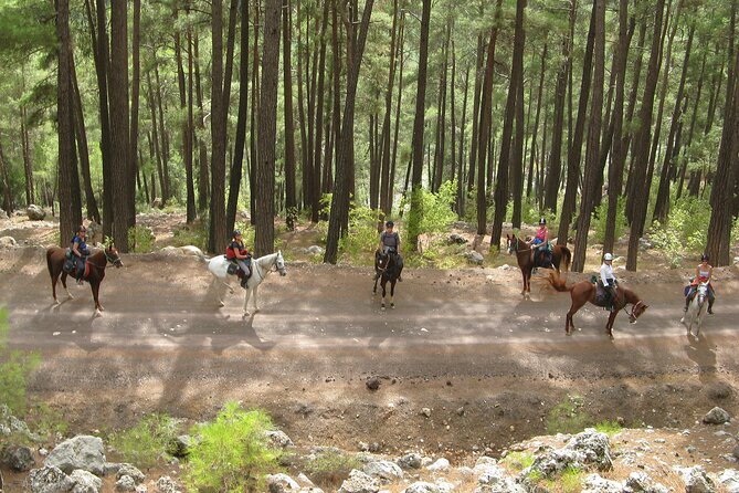 Horse Riding Tour in Bodrum with Hotel Pick Up - A simple plan for the three-hour outing