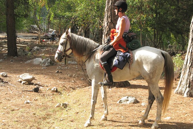 Horse Riding Tour in Bodrum with Hotel Pick Up - Getting fitted with a helmet and meeting the horses