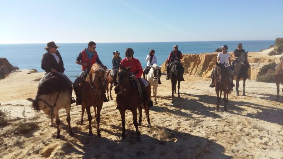 Horse-Riding Tour in Doñana National Park - Key points to know before booking