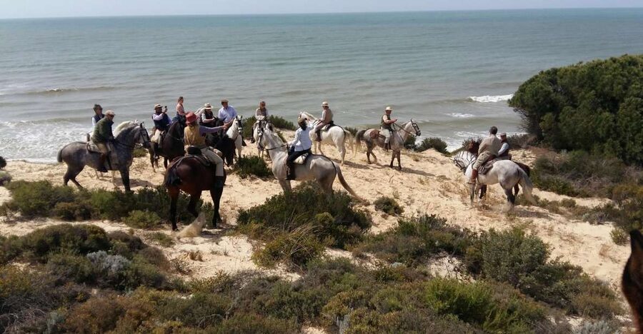 Horse-Riding Tour in Doñana National Park - From Mazagón into Doñana’s pine woods