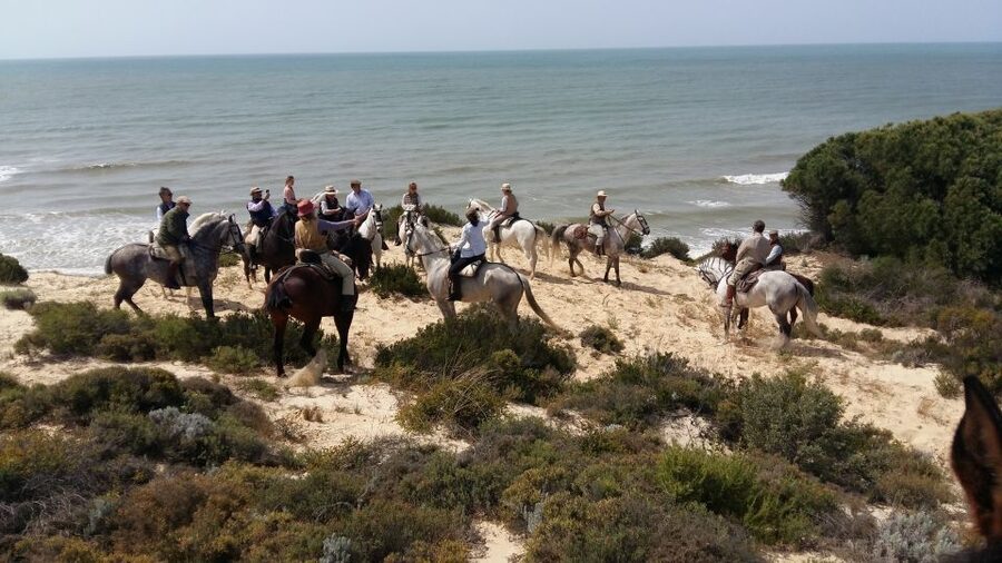 Horse-Riding Tour in Doñana National Park - Dunes with wide views toward the sea