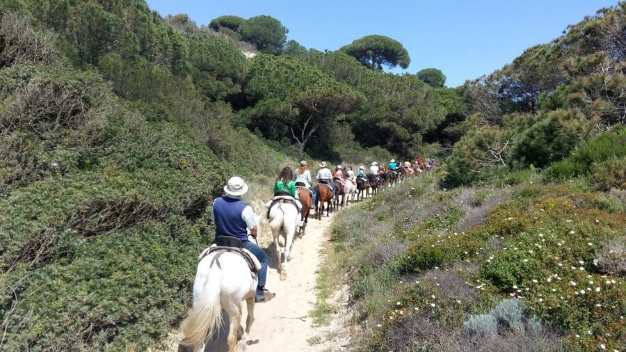 Horse-Riding Tour in Doñana National Park - The open beach is the main reward