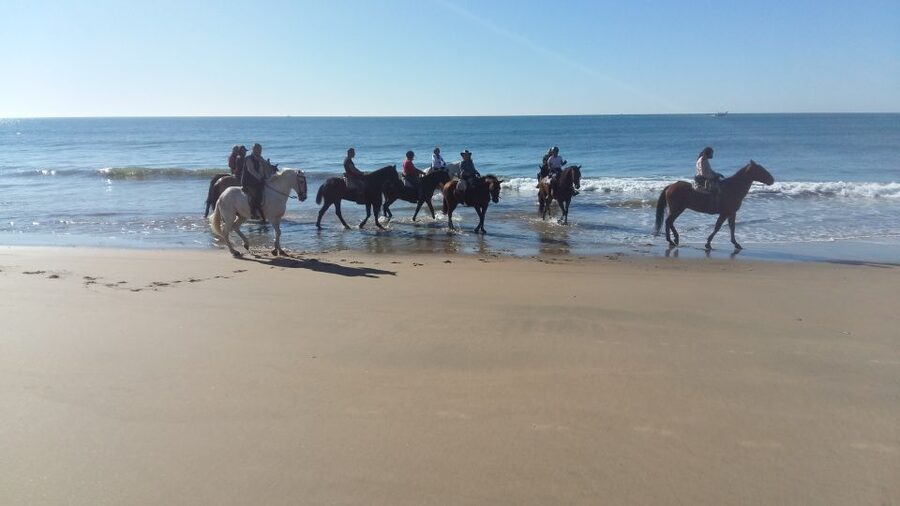 Horse-Riding Tour in Doñana National Park - Practical details that can make or break the outing