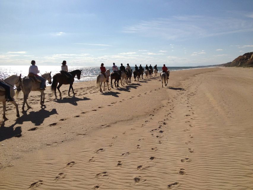 Horse-Riding Tour in Doñana National Park - A gentle introduction for first-time riders