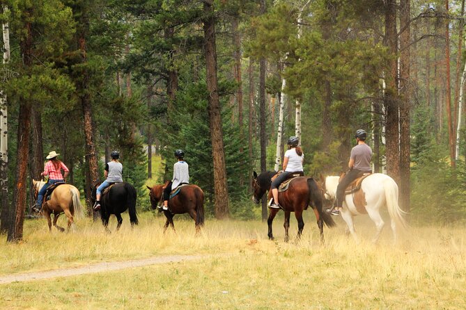 Horse Riding Tour in Marmaris - Meeting your horse before the ride