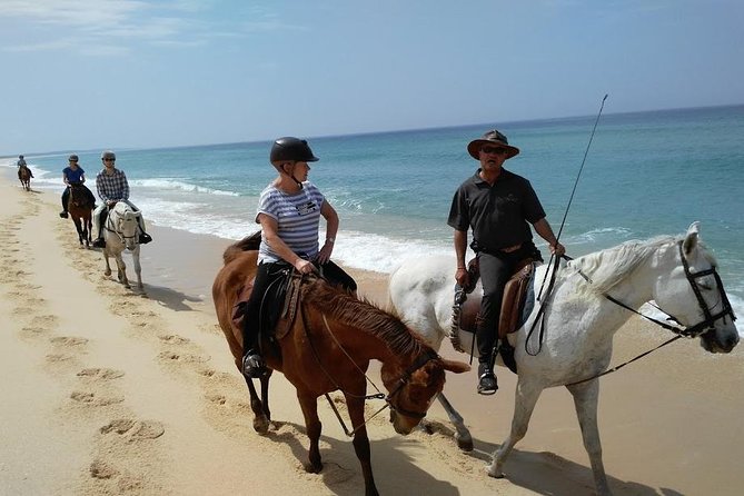 Horse Riding Tour on the Beach Lisbon region - Key points to know before booking