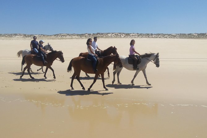 Horse Riding Tour on the Beach Lisbon region - What makes the horses part of the appeal