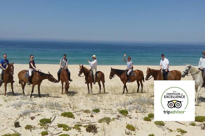Horse Riding Tour on the Beach Lisbon region - Timing, food, and what to wear