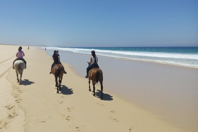 Horse Riding Tour on the Beach Lisbon region - Is the $337.43 price fair?