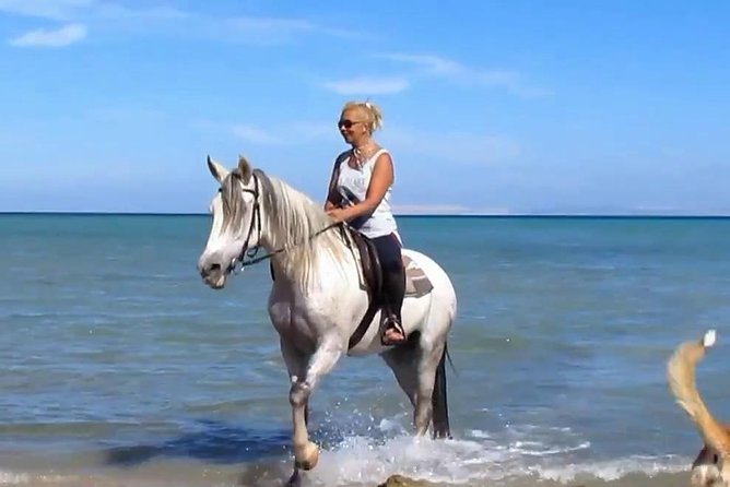 Horse Riding Tour Two Hours Sun & Sea With Transfer - Hurghada - Key Points at a Glance