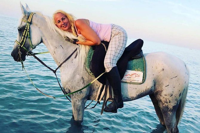 Horse Riding Tour Two Hours Sun & Sea With Transfer - Hurghada - From Hurghada Hotel to Desert Saddle