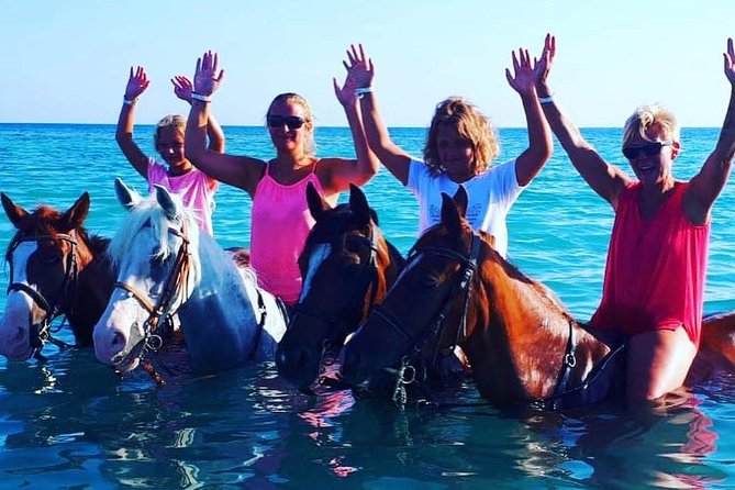 Horse Riding Tour Two Hours Sun & Sea With Transfer - Hurghada - Horse Care, Safety, and Riding Comfort