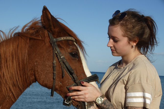 Horse Riding Tour Two Hours Sun & Sea With Transfer - Hurghada - What the $15 Price Really Covers