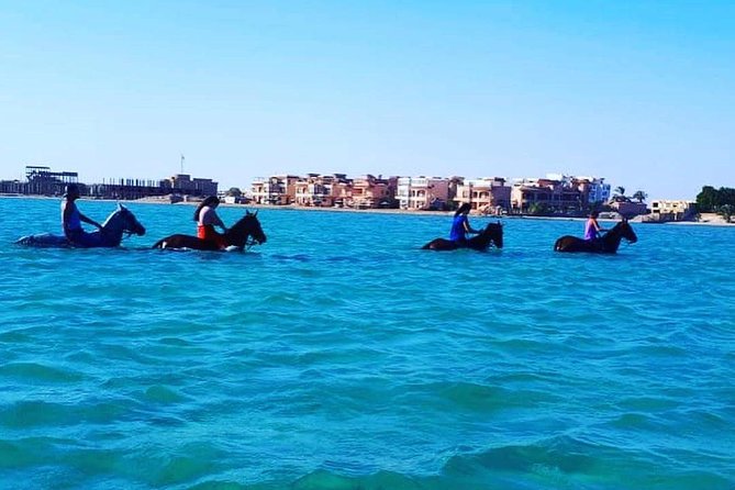 Horse Riding Tour Two Hours Sun & Sea With Transfer - Hurghada - Timing, Transfers, and Small Practical Details